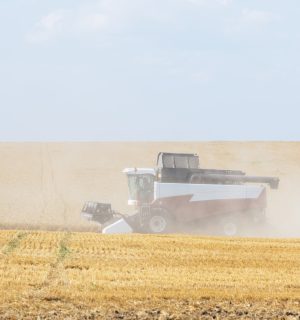 Combine harvester working on harvest of rapeseed field. Work on agricultural land during the summer.